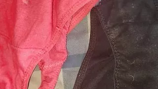 Which Pair Of My Wife Panties You Want