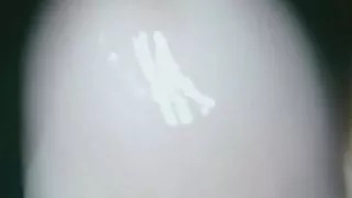 colombian porn big tail quality sex with big dick lots of milk sex