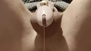 A cosy dripping dildo ride