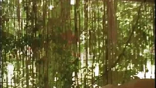 CASELLA POST 19 (Full Movie)