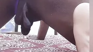 Compilation of desi sissy femboy