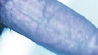 High quality colombian porn and big dick big tail tree