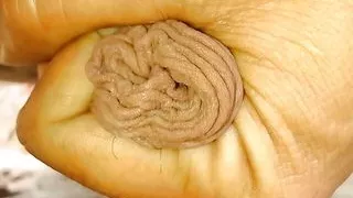 Piisss tribute to ARPITA