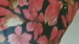 Tamil desi girl and boy blowjob and black pussy