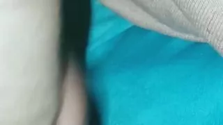 Colombian with a big tail and a great desire for milk in his tail