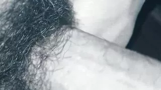 Colombian with a big tail and a great desire for milk in his tail