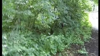 Vintage Retro German Amateur your Daily Dose of Porn