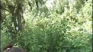 SIAMO GIOVANI BELLE E PORCHE 2 (Full Movie)