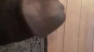 Ts Kim's little friend