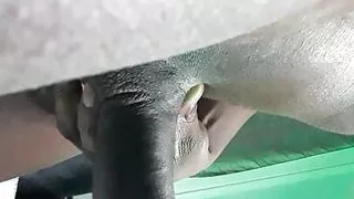 Handjob April 23, 2023