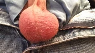 Alpha Humiliates & Teabags Homo POV PREVIEW