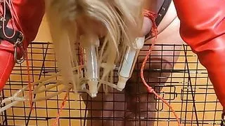 Hucow with bound boobs