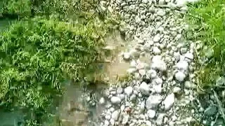 River Boy XXX Gay  Solo