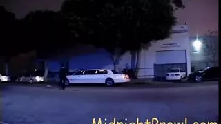 Genesis Skye doggystyled then eats pussy