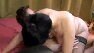 Intensiv Svensk Hardcore-par Penetration