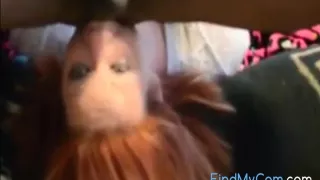 Excellent Porn Video Webcam Private Crazy Watch Show