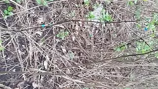 In the cold forest her tongue warms my pussy (shaking orgasm) - Lesbian-candys