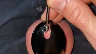 Erniedrigung, Penis, Realität, Sklavin, Kleiner Schwanz, Zug