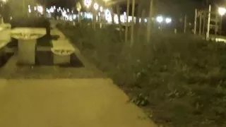 dildo sounding outdoors 41