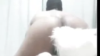 Doggy with tail and ready to lick