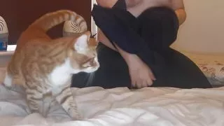 Trans women masturbation