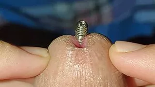 Amateurs Malaysian Sounding