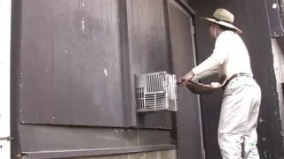 Hot Teen Gags On A Huge Cock Before A Deep Fuck