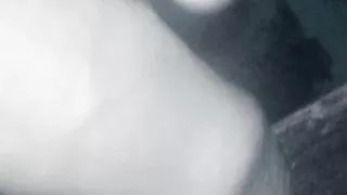 COLOMBIAN WITH A BIG DICK Jerking off for you