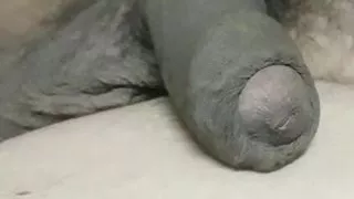 delivery voy made cum