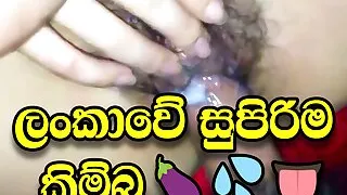 Lankawe supirima kimbata hikuwa (Asian Best pussy)