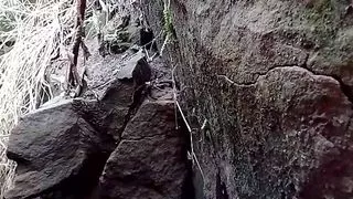 Pee tribute Leone outdoor room