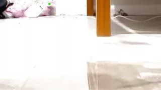 bbw pissing on the floor