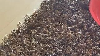 Jumping ball, dildo and lots of pvc