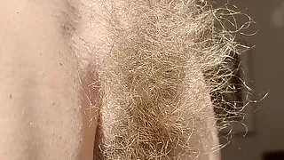 Hairy Sara's wild bush