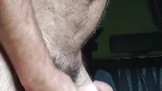 Truck caminhoneiro 6