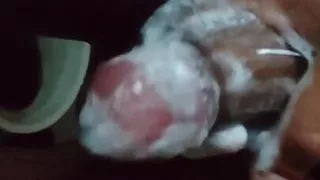 Big cock cumming on shower wall after intense mastrubation session