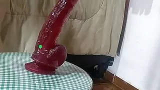 BH, Brasilianischer Sex, Hintern, Flashen, Reife Frauen Anal, Ehefrau