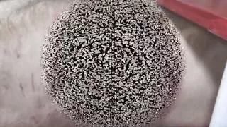 femdom terror torment