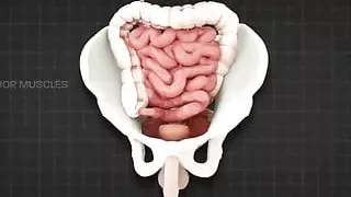 Pelvic floor exercise