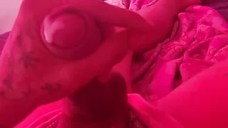 Pollon verdon dotafo