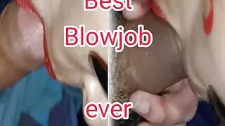 Best Blowjob ever
