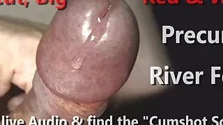 Uncut, Big, Red, Hard & Wet Mushroom Foreskin Head presents a Precum River Fest