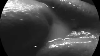 A cascade of cum between my lips