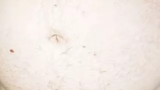 Thirsty pisspig makes himself a drink