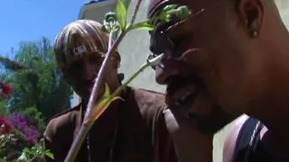 Two stunning looking German babes and two BBC in action