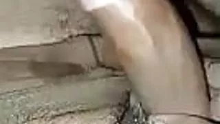 My big dik. hand job . Blowjob .sexy boy