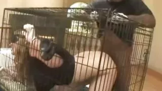 Big Ass Housewife Fucks BBC Stud