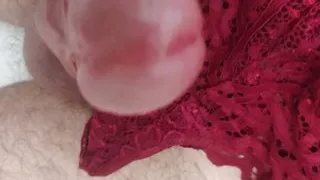 Handjob + pre cum pantie culotte