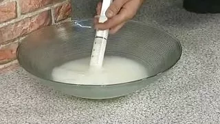 Dark-haired German babe taking care of a long rod with her amazing pussy