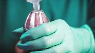 DominaFire Sounding her Chastity Sissy